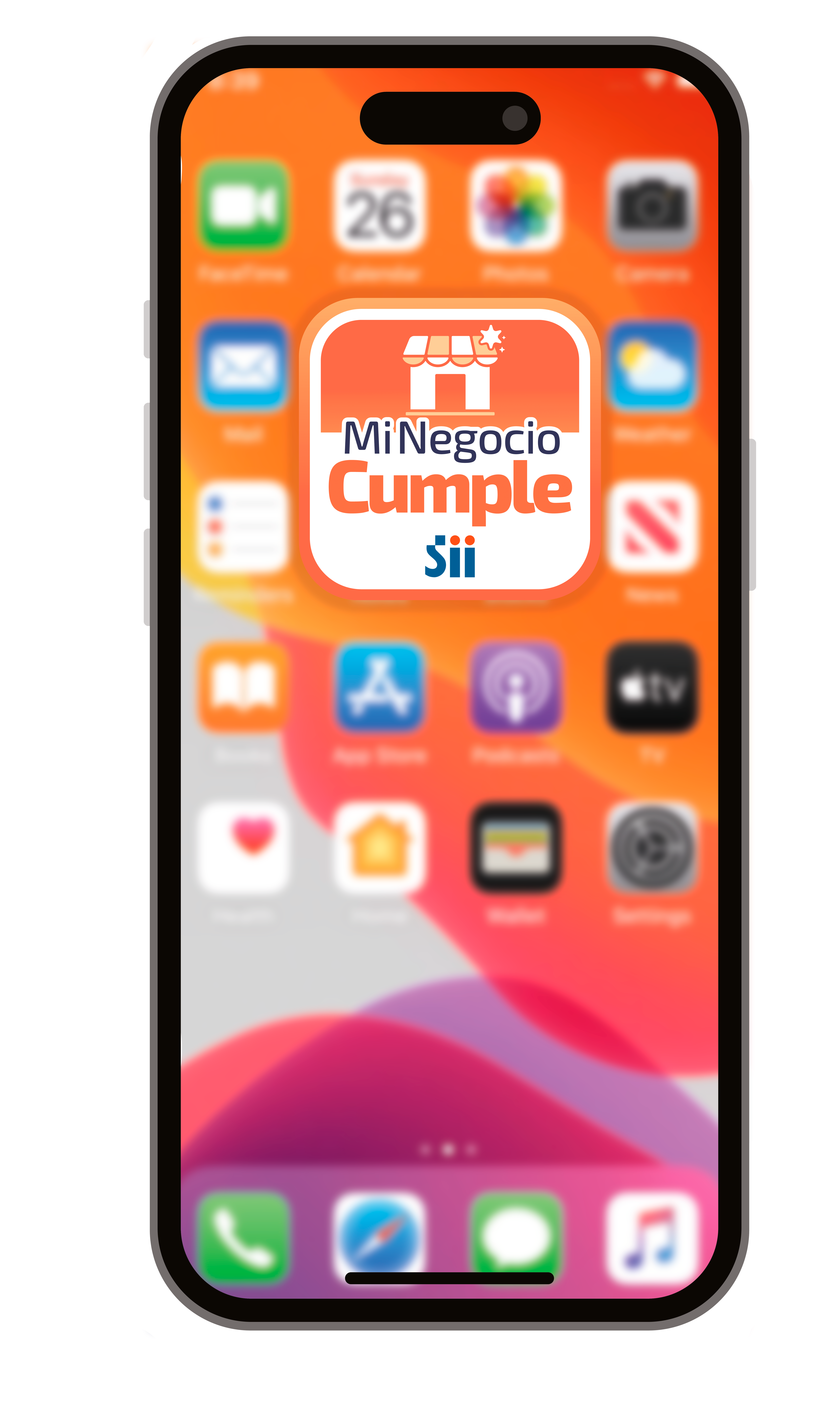 Vista Inicio Aplicación SII Mi Negocio Cumple