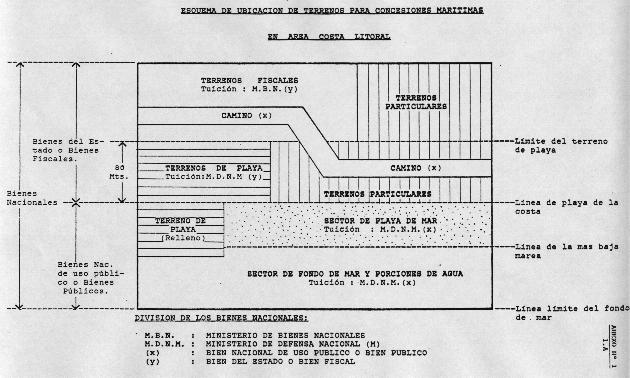 21c.jpg (51581 bytes)