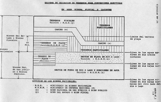 21d.jpg (55619 bytes)