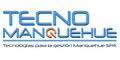 Technomanquehue
