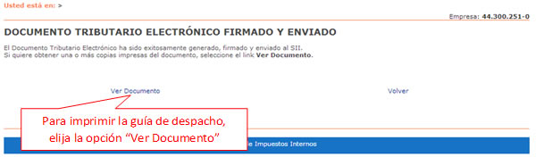 guia-despacho