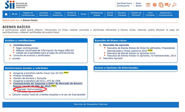 imagen3