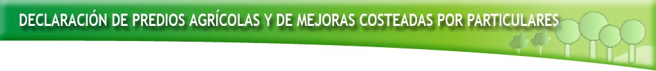 Inscríbase en el Sistema de Tributación Simplificada