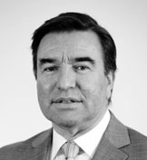  Hernan Frigolett Córdova